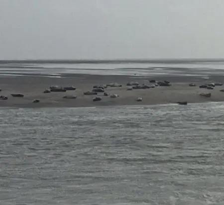 Lejlighed Calypso 2 *