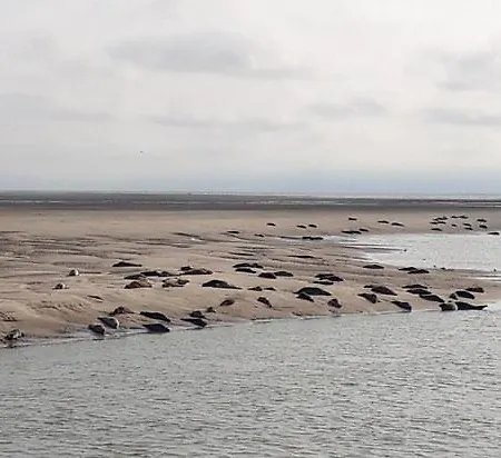 Calypso 2 * Berck