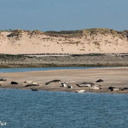 Calypso 2 Lejlighed Berck