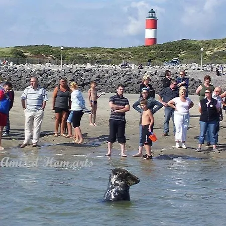 Calypso 2 Διαμέρισμα